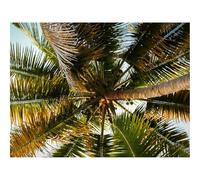 Jigsaw Puzzles for Adults 500 Pieces -Palm Tree,Branches,Tropics,Bottom View 52x38cm