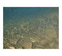 Jigsaw Puzzles for Adults 500 Pieces -Sea,Water,Waves,Glare,Stones 52x38cm