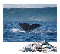 Jigsaw Puzzles for Adults 500 Puzzle Toys Sperm Whale Fluke Puzzle for Adults Woodenboard Puzzles Home Decor 500pcs (52x38cm)