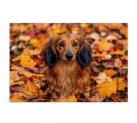 Jigsaw Puzzles for Adults 5000, 5000 Piece Jigsaw Puzzles for Adults, Wooden Puzzle Game for The Whole for Men, Dog Puzzle for Christmas Decorations, Gifts for Women, Theme: Autumn Pattern, T-80