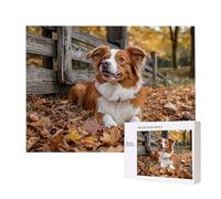 Jigsaw Puzzles for Adults 5000 Autumn Dog, 5000 Piece Jigsaw Puzzles for Adults, Educational Game Jigsaw Puzzle 62.4x42in Suitable for Decompression and Wall Decor, Puzzle Gifts x-624