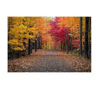 Jigsaw Puzzles for Adults 5000, Autumn Jigsaws 5000 Pieces for Adults, Impossible Jigsaws Puzzle Challenging Game for The Whole, Wooden Jigsaw Puzzles for Gifts for Women Men, Decor Theme:Forest -1552