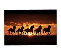 Jigsaw Puzzles for Adults 5000 Horse Jigsaws 5000 Pieces for Adults, Wooden Puzzles for Home Decor, Impossible Puzzle Games, Unique Gifts for Women, Men, Challenging Jigsaw Theme: Sunset -3632