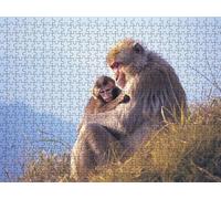 Jigsaw Puzzles for Adults 5000, Monkey Brown 5000 Piece Puzzles for Adults, Jigsaw Puzzle Games Classic Educational, Games and Family Activities, for Home Wall Decoration, Great Gift Idea R0KH-328