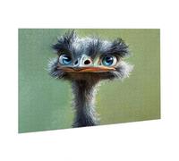 Jigsaw Puzzles for Adults 5000 Piece Animal Jigsaw Puzzle-Colourful, Challenging Game/Brainteasing Adult Jigsaws, The Whole 3D Jigsaw Gifts for Women, Men Beautiful Decoration-Ostrich fr0-862