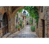 Jigsaw Puzzles for Adults 5000 Piece Jigsaw Puzzles for Adults Small Town Creative Puzzle for Family Educational Games Home Decoration Gifts for Women DIY Puzzle Home Decor Theme: Street View RXPT5078