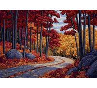 Jigsaw Puzzles for Adults 520 Forest Impossible Jigsaw for Adults Educational Games Landscape Puzzle 520 Pieces Suitable Beginners and Girl Aged 14 up Also Women and Men Beautiful Gifts 52x38cm C-924