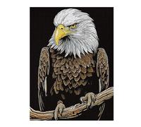 Jigsaw Puzzles for Adults 52x38cm/1000pcs Bald Eagle Bird Wildlife Jigsaw for Adults Brain Teaser Game A Work of Art Birthday Present, Gifts, 52x38cm/1000pcs
