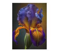 Jigsaw Puzzles for Adults 52x38cm/1000pcs Blooming Iris Puzzles for Adults Relax Games Presents for Women Fun Activities at Home 52x38cm/1000pcs
