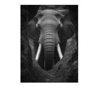 Jigsaw Puzzles for Adults 52x38cm/1000pcs Elephant Black And White Jigsaw Puzzle Toy Wall Decor Difficult Challenge Deal As Gifts for The Whole Family 52x38cm/1000pcs