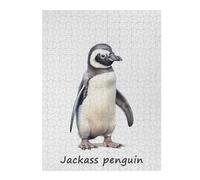 Jigsaw Puzzles for Adults 52x38cm/1000pcs Jackass Penguin Safari Puzzle for Adults Relaxing Games Stress Reliever Help The Brain Exercise 52x38cm/1000pcs