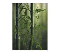 Jigsaw Puzzles for Adults 52x38cm/1000pcs Lost in A Bamboo Forest Jigsaw for Adults Brain Teaser Game A Work of Art Birthday Present, Gifts, 52x38cm/1000pcs
