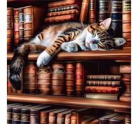 Jigsaw Puzzles for Adults 60 Pieces Bookshelf Cat, Puzzles for Adults, Challenging Game, Impossible Hard Challenge, Puzzle for Adult 60 Pieces