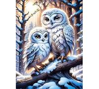 Jigsaw Puzzles for Adults 60 Pieces White Snowy Owl, 40x28cm 60 pieces puzzles for adults, Educational Game Challenge Toy, Impossible Puzzle for Family Activity