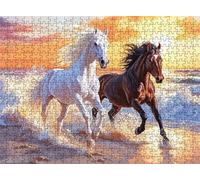 Jigsaw Puzzles for Adults 6000 Beach Horse Puzzle High Definition Wooden Puzzle with Gifts Box Relaxing Home Activity Large Educational Puzzles Modern Home Decor Challenging Games for Adults s7h-5
