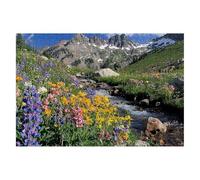 Jigsaw Puzzles for Adults 6000 Plant Jigsaws 6000 Pieces for Adults Wooden Nature Puzzle Games, Classic Educational Challenging Game for The Whole Families Decompression, Decor Gifts 179x105cm D-22