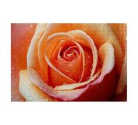 Jigsaw Puzzles for Adults 6000 Rose Jigsaws 6000 Pieces for Adults Wooden Flower Puzzle Games, Classic Educational Challenging Game for The Whole Families Decompression, Decor Gifts 179x105cm F-72