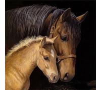Jigsaw Puzzles for Adults 70 Piece,16x16 cm puzzle for adults Educational Game Challenge Toy 70 Pieces puzzles for Adult Home Decoration Puzzle Animal Horses