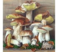 Jigsaw Puzzles for Adults 70 piece Mushroom Plant, 70 Piece Difficult jigsaw puzzles for adults, Challenging Jigsaws 70 pieces, Puzzle Game for The Whole for Women, Gifts for Men 45x45cm