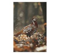 Jigsaw Puzzles for Adults 75x50cm/1000pcs Grouse Bird in The Forest Puzzles for Adults Anti-Stress Toys Improve Memory Deal As Gifts for The Whole Family 75x50cm/1000pcs