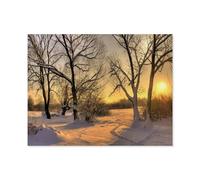 Jigsaw Puzzles for Adults，Beautiful winter sunset with trees in the snow，1000 Pieces Paper Jigsaw Puzzle for Adults and Kids Educational Puzzle Decorations Gift（50x70cm）-Q74