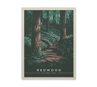 Jigsaw Puzzles for Adults，Redwood National Park，1000 Pieces Paper Jigsaw Puzzle for Adults and Kids Educational Puzzle Decorations Gift（50x70cm）-HP15