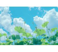 Jigsaw Puzzles for Adults Teens Cool Summer, Lotus Leaves and Blue Sky and White Clouds, Thick and Sturdy Puzzle, A Gift of Adult Puzzle Pieces_500pcs