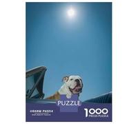 Jigsaw Puzzles for Adults1000 Pieces Bulldog in Convertible Under Sunny Sky Adult Puzzles Relaxing Games But Fun And Humorous Fun Activities at Home 38x26cm/1000pcs