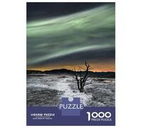 Jigsaw Puzzles for Adults1000 Pieces Magic Aurora Adult Puzzles Relaxing Games But Fun And Humorous Fun Activities at Home 38x26cm/1000pcs