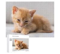 Jigsaw Puzzles for Adults500 PCS Cute Little Cat 02 Jigsaws for Adults Family Games Presents for Women Unique Birthday And Gifts 500 PCS