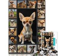 Jigsaw Puzzles for Teenagers 1000 Chihuahua Collage Adult Jigsaw,Challenging Game Toys Wall Decoration Unique Birthday And Xmas Gifts (size 75x50cm)