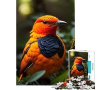 Jigsaw Puzzles for Teenagers 1000 Flame Bowerbird Exotic Practical Game Toy Intellectual Game Birthday Gifts Presents for Women (Size 38x52cm)