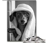 Jigsaw Puzzles for Teenagers 1000 Jigsaws Dachshund Taking A Bath, for Educational Game Challenge Toy Enhance Memory for Age 14 (Size 26x38cm)