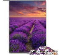 Jigsaw Puzzles for Teenagers 1000 Jigsaws Lavender Garden, Toys Educational Games Stress Relieving Enhance Love between Couples (Size 26x38cm)