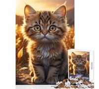 Jigsaw Puzzles for Teenagers 1000 Kitten Sunbathing on Rock DIY Toys Great Gift for Games Brain Teaser Game Help The Brain Exercise Size 38x52cm