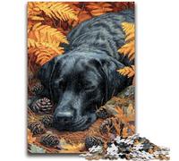 Jigsaw Puzzles for Teenagers 1000 Labrador in Autumn 1000 Pieces for Teenagers,Challenging Game Gifts for Is Ideal As A Gift for The Whole Family (50x75cm)