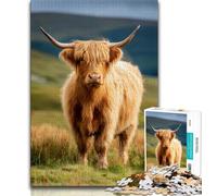 Jigsaw Puzzles for Teenagers 1000 Piece Highland Cow,Decompressing Intellectual Educational Toy Educational Game for Birthday,Chrismas (38x26cm)