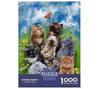 Jigsaw Puzzles for Teenagers 1000 Piece Kitten Playing in Garden Puzzles for Adults Toy Wall Decor A Work of Art Unique Birthday And Xmas Gifts 70x50cm/1000pcs