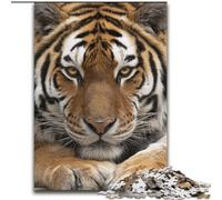 Jigsaw Puzzles for Teenagers 1000 Piece Puzzle Forest Tiger, Learning Educational for Is Ideal As A Gift for The Whole Family (size 26x38cm)