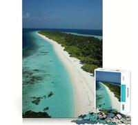 Jigsaw Puzzles for Teenagers 1000 Piece Tropical Island Beach Tight Fit Piece Logic Fun Toy Quiet Fun Play Birthday Art Play (38x52cm)