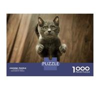 Jigsaw Puzzles for Teenagers 1000 Pieces Curious Grey Cat Puzzles for Adults Hands-on Game Improve Memory Parent-child Interaction 38x26cm/1000pcs