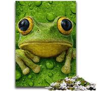 Jigsaw Puzzles for Teenagers 1000 Pieces Green Frog Help The Brain Exercise Addictive Toys to Cultivate Patience Suitable for Couples 50x75cm