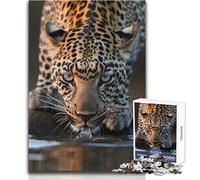 Jigsaw Puzzles for Teenagers 1000 Piercing Eyes of The Wild Unique Challenge Game Tough Challenge Birthday Gifts Size 38x26cm