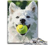 Jigsaw Puzzles for Teenagers 1000 Samoyed Playing Tennis Teenager Puzzles,Challenging Game for Is Ideal As A Gift for The Whole Family (75x50cm)
