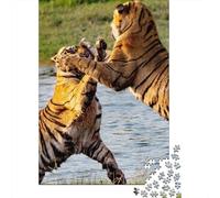 Jigsaw Puzzles for Teenagers 1000 Tiger Fight in Water-1 Adult Puzzles Hands-on Game Pattern Assembly Deal As Gifts for The Whole Family 38x26cm/1000pcs