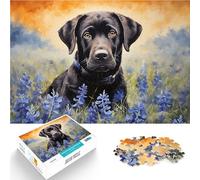 Jigsaw Puzzles for teenagers 2000 Pieces Black Labrador in Bluebonnets Präzisionsschnitt Wichtelgeschenke70x100cm