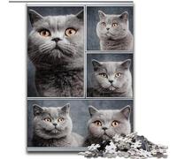Jigsaw Puzzles for Teenagers British Shorthair Cat Collage, Suitable for People Aged 14 And Above Educational Games Secret Santa Gifts (Size 26x38cm)
