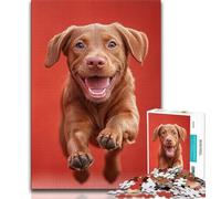 Jigsaw Puzzles for Teenagers Happy Labrador 1000 Piece Jigsaw,Family Entertainment Toys with Matching Poster And Trivia Sheet 38x26cm
