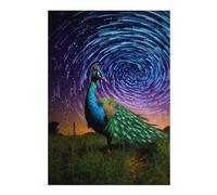 Jigsaw Puzzles for Teenagerss 38x26cm/1000pcs Peacock Under Starry Sky Adult Jigsaw Relaxing Games Precision Cutting Challenging Game Gifts 38x26cm/1000pcs