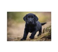 Jigsaw Puzzles1000 Piece Broleo Black Labrador Puppy Printing Educational Intellectual Wooden Puzzles, Fun Puzzles, Stress Relieving Puzzles